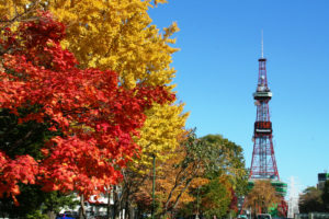 北海道札幌市の大通公園で「紅葉」の写真
